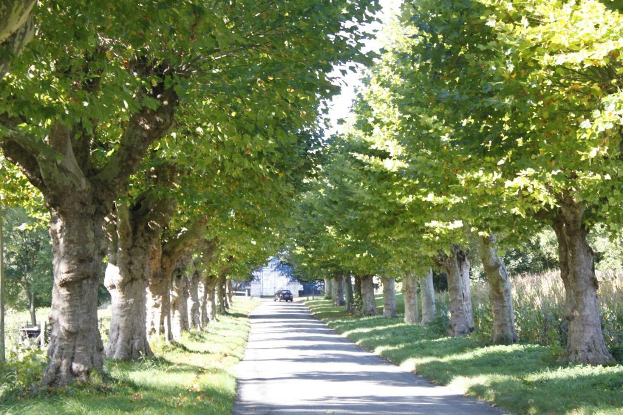 Avenue Du Chateau Saint-Just  ภายนอก รูปภาพ